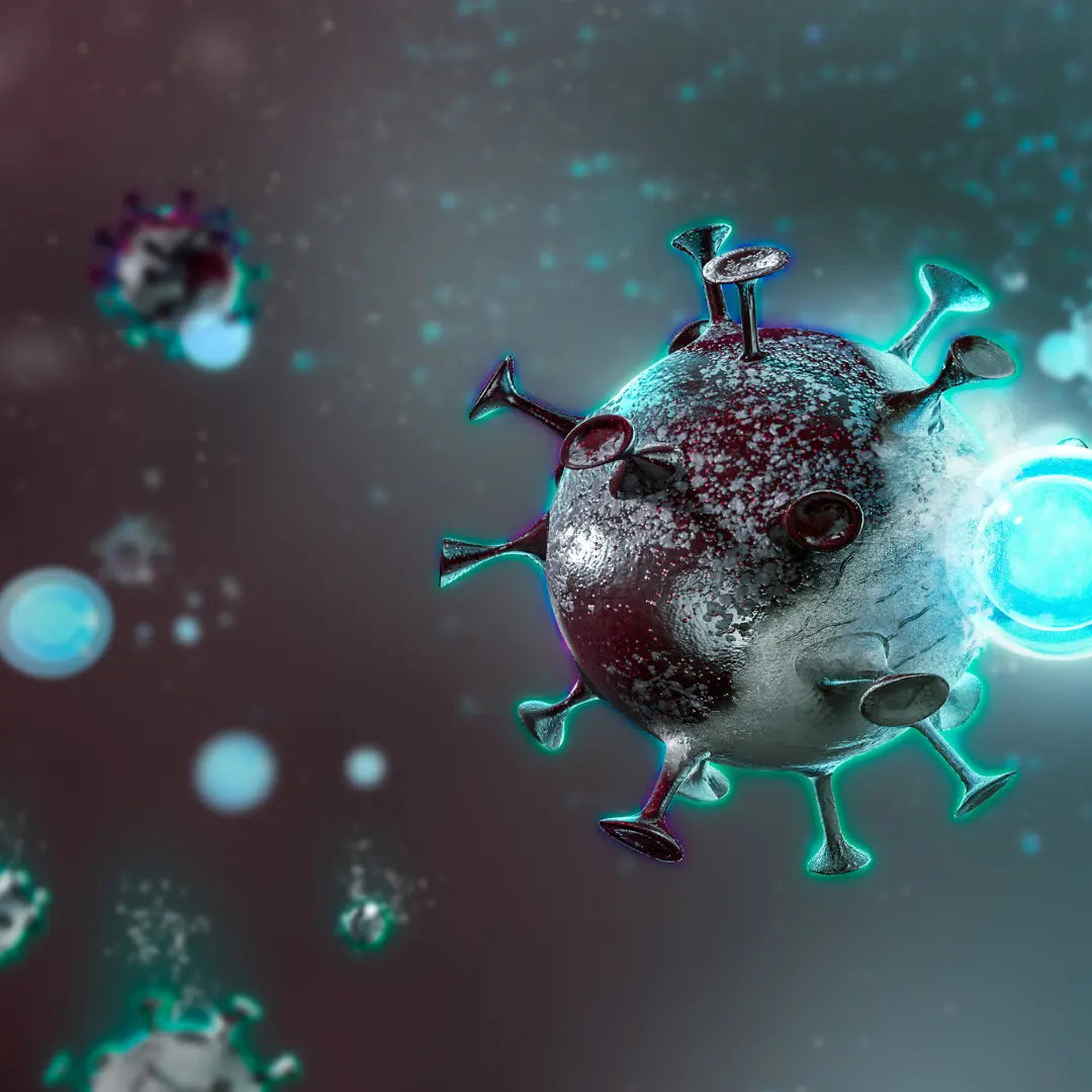 Peptidy na regeneráciu a imunitu